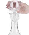 Picture of Double Wall Glass Wine Scent & Flavour Enhancer
