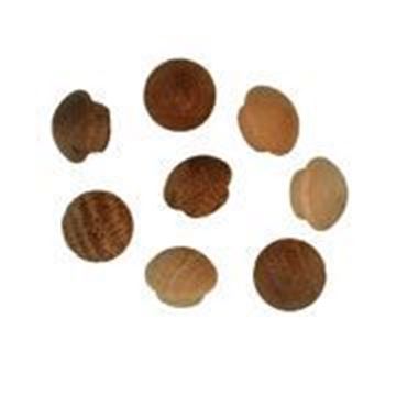 Show details for EuroCave, Modulotheque - Wine Cellar modular storage, MV13 Picture of EuroCave, Modulotheque - Wine Cellar modular storage, MV13